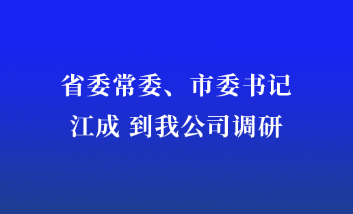 省委常委、市委書記江成到我公司調(diào)研